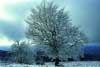 Hiver Hiver